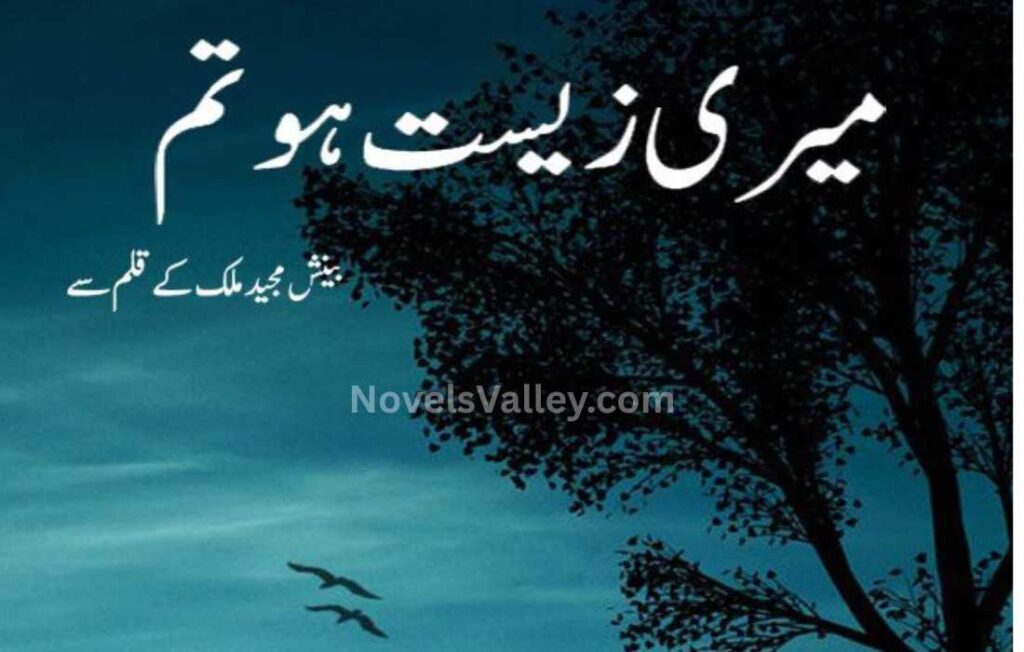 meri-zeest-ho-tum-novel-by-beenish-majeed